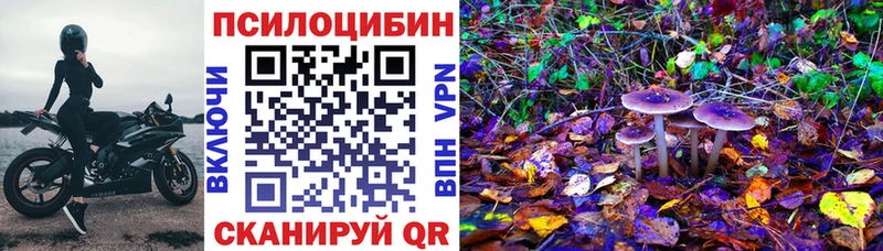 Псилоцибиновые грибы MAGIC MUSHROOMS где продают Апшеронск